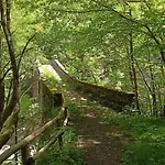 Le Polle Апарт-отель