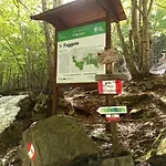 Le Polle Апарт-отель