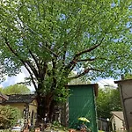 Le Polle Риолунато