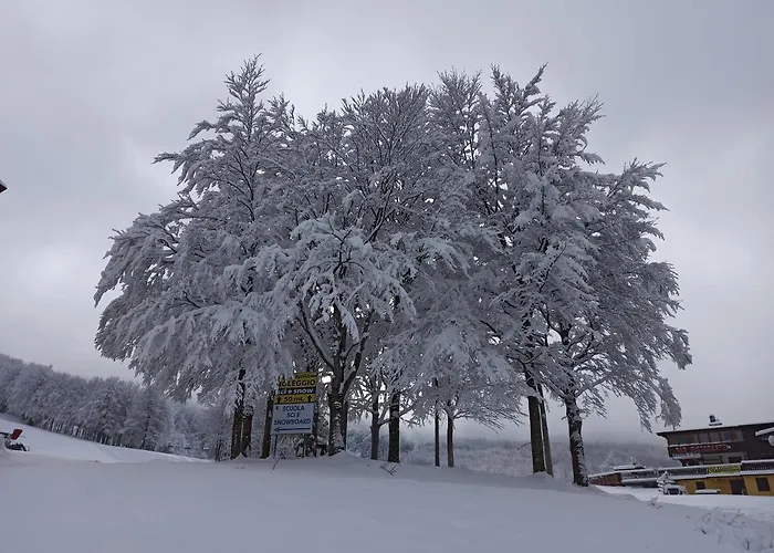 Le Polle 3* Riolunato