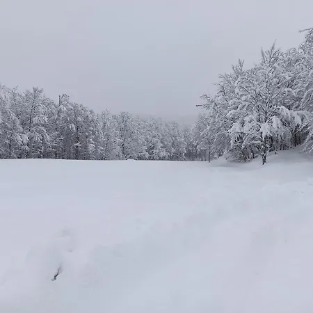 Le Polle 3* Riolunato