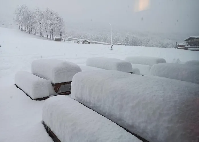 아파트호텔 Le Polle 3*