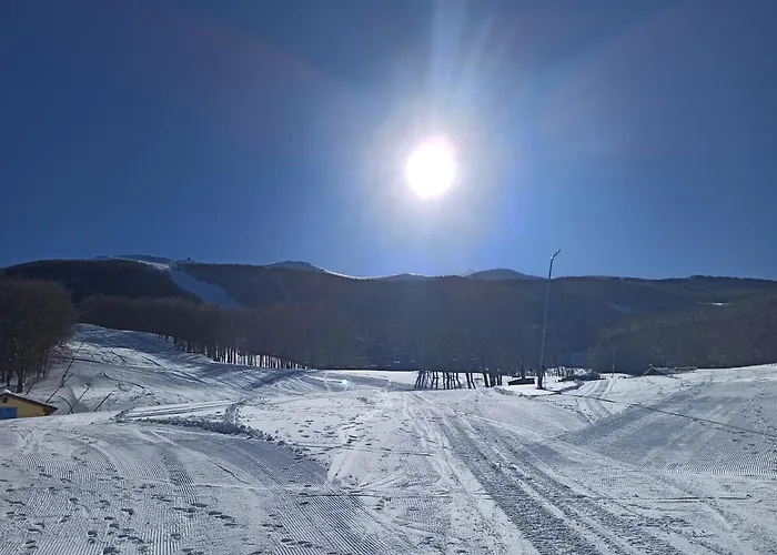 Le Polle 아파트호텔