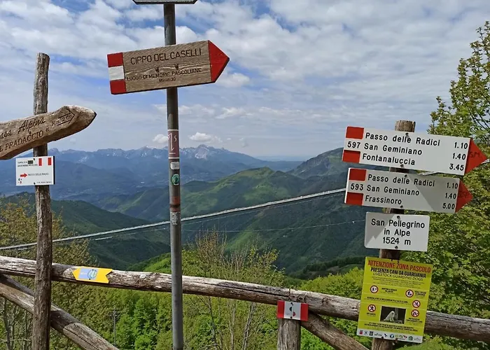 Le Polle 3* 리올루나토