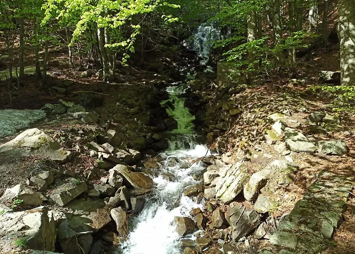 아파트호텔 Le Polle