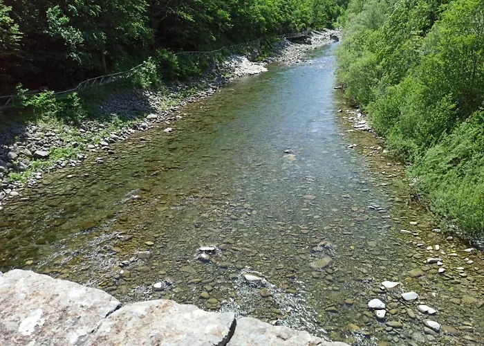 Le Polle 아파트호텔